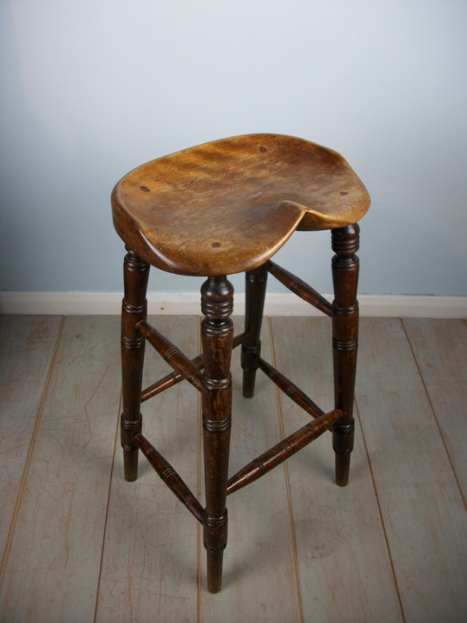 Antique Elm Artist